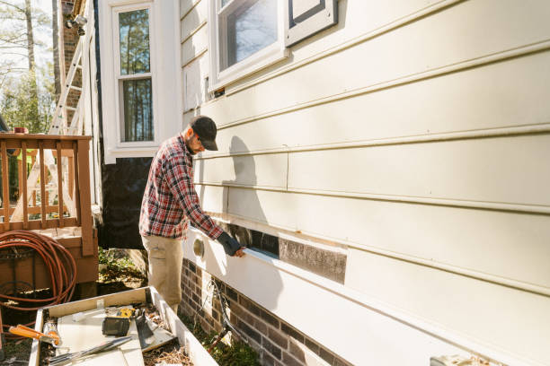 Top rated local Emergency Siding Repair specialists in Wood Dale, IL